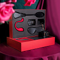 Набор "Limited Edition BDSM Gift Box" S99 Набор "Limited Edition BDSM Gift Box" S99