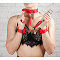 Ошейник "BDSM Новичок" с поводком, красный, натуральная кожа 3358-2 Ошейник "BDSM Новичок" с поводком, красный, натуральная кожа 3358-2